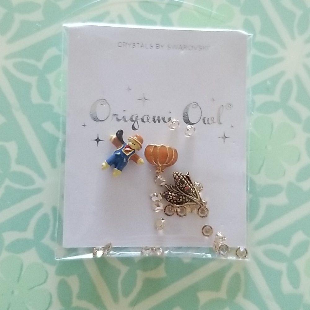 Origami owl  harvest  charm collection